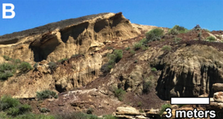 La zona Tanis.